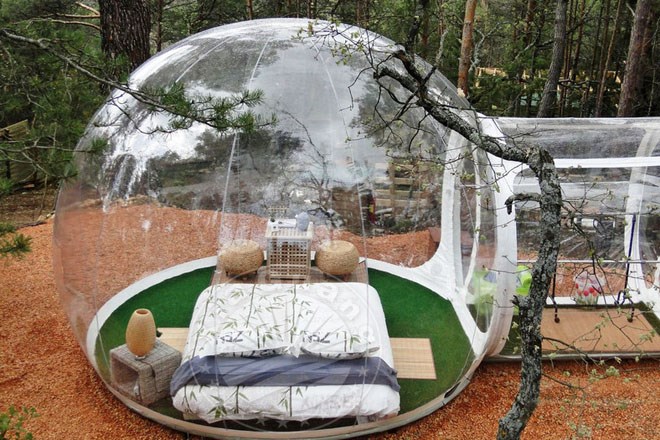 樟树球形帐篷